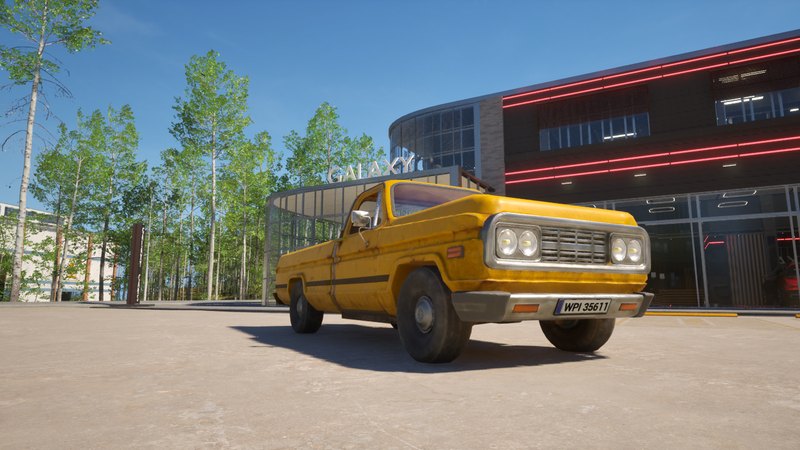 Bison