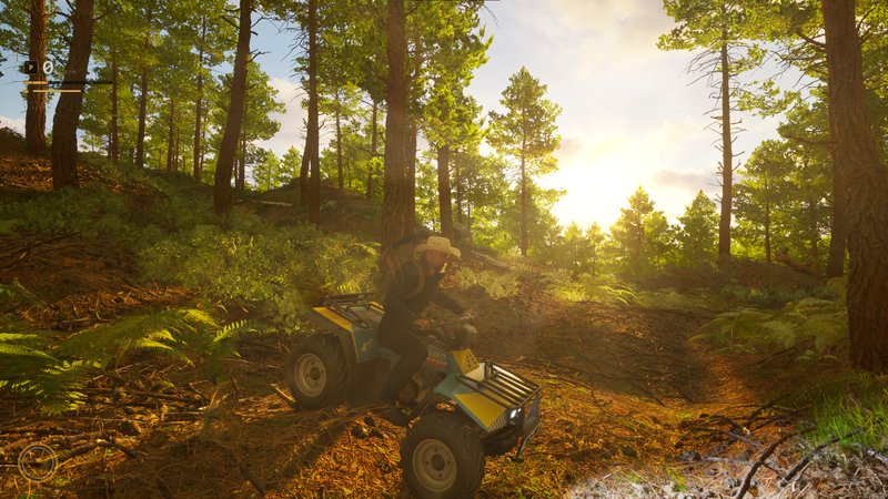 In-game screenshot, player on a quad riding through a sunlit pine forest