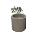 Coca Plant Pot
