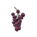 Grape
